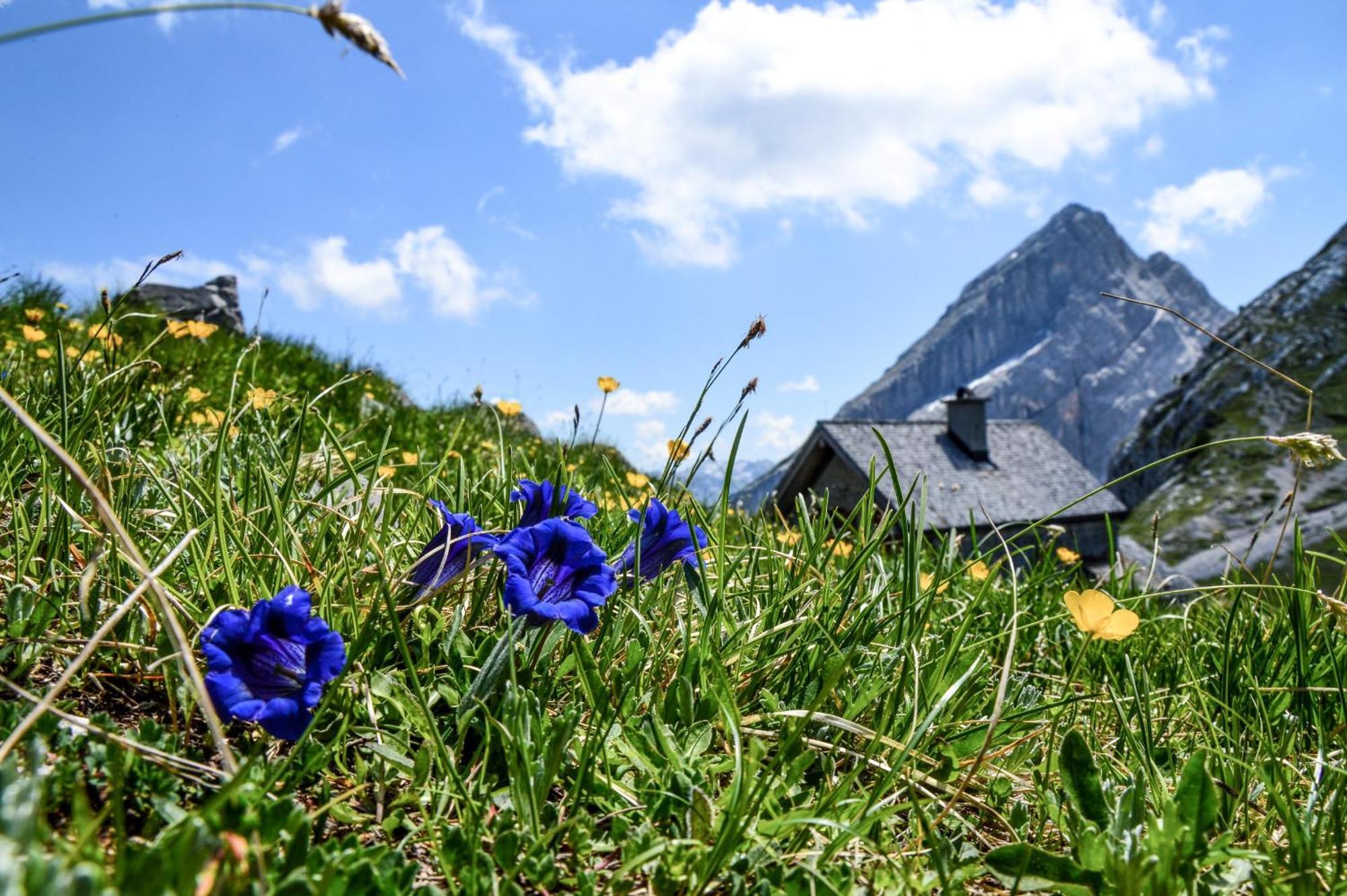 Ferienwohnung Fagstein Schönau am Königssee المظهر الخارجي الصورة